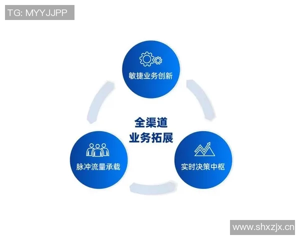 深圳篮球队的控制革新探索与未来发展路径分析